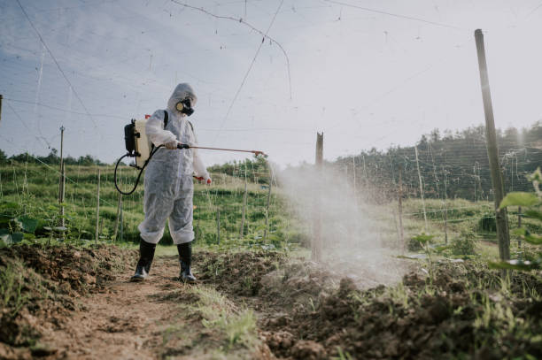 Best Mosquito Control Services  in Tarrytown, NY