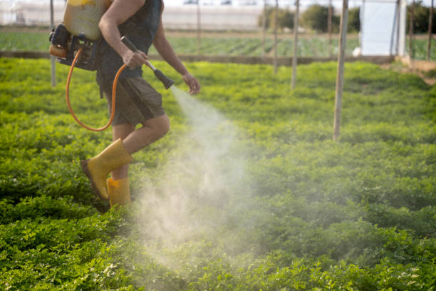 Best Affordable Pest Control Services  in Tarrytown, NY