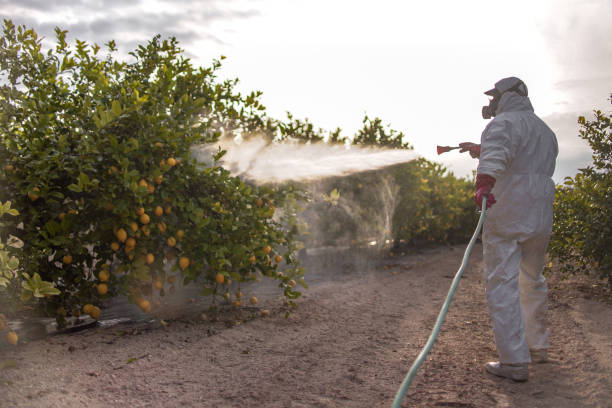 Professional Pest Control in Tarrytown, NY