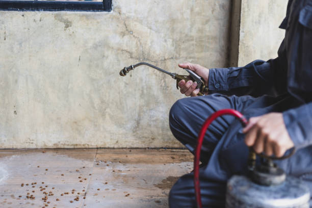 Best Pest Prevention Services  in Tarrytown, NY